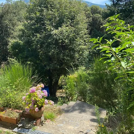 El Sui Διαμέρισμα